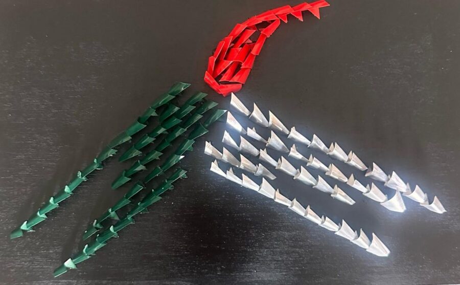 ’O rre, verde, bianco e rosso su nero
